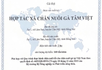 Quy trình nuôi gà thả vườn theo tiêu chuẩn VietGAP 