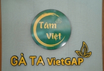 Giá Đã Rẻ, Nay Còn Giảm Thêm 10% Khi Thanh Toán Qua VNPay