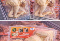 Gà Ta Sạch Tâm Việt – Nguồn Bỏ Sỉ Gà Ta Không Qua Trung Gian Tại TP.HCM, Gò Vấp, Đồng Nai