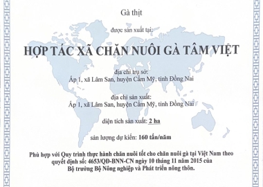 Quy trình nuôi gà thả vườn theo tiêu chuẩn VietGAP 