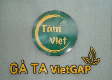 Giá Đã Rẻ, Nay Còn Giảm Thêm 10% Khi Thanh Toán Qua VNPay
