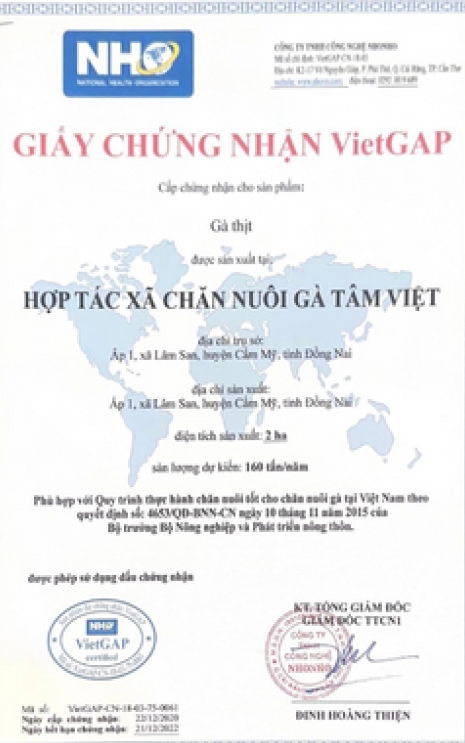 GIẤY CHỨNG NHẬN VIETGAP