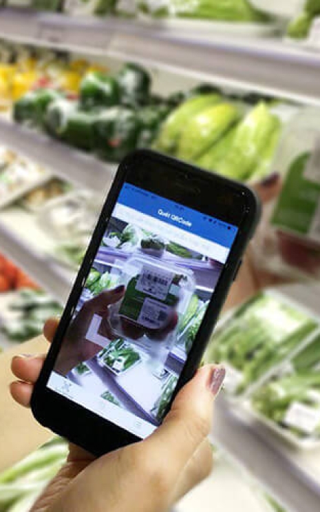 TRUY XUẤT NGUỒN GỐC