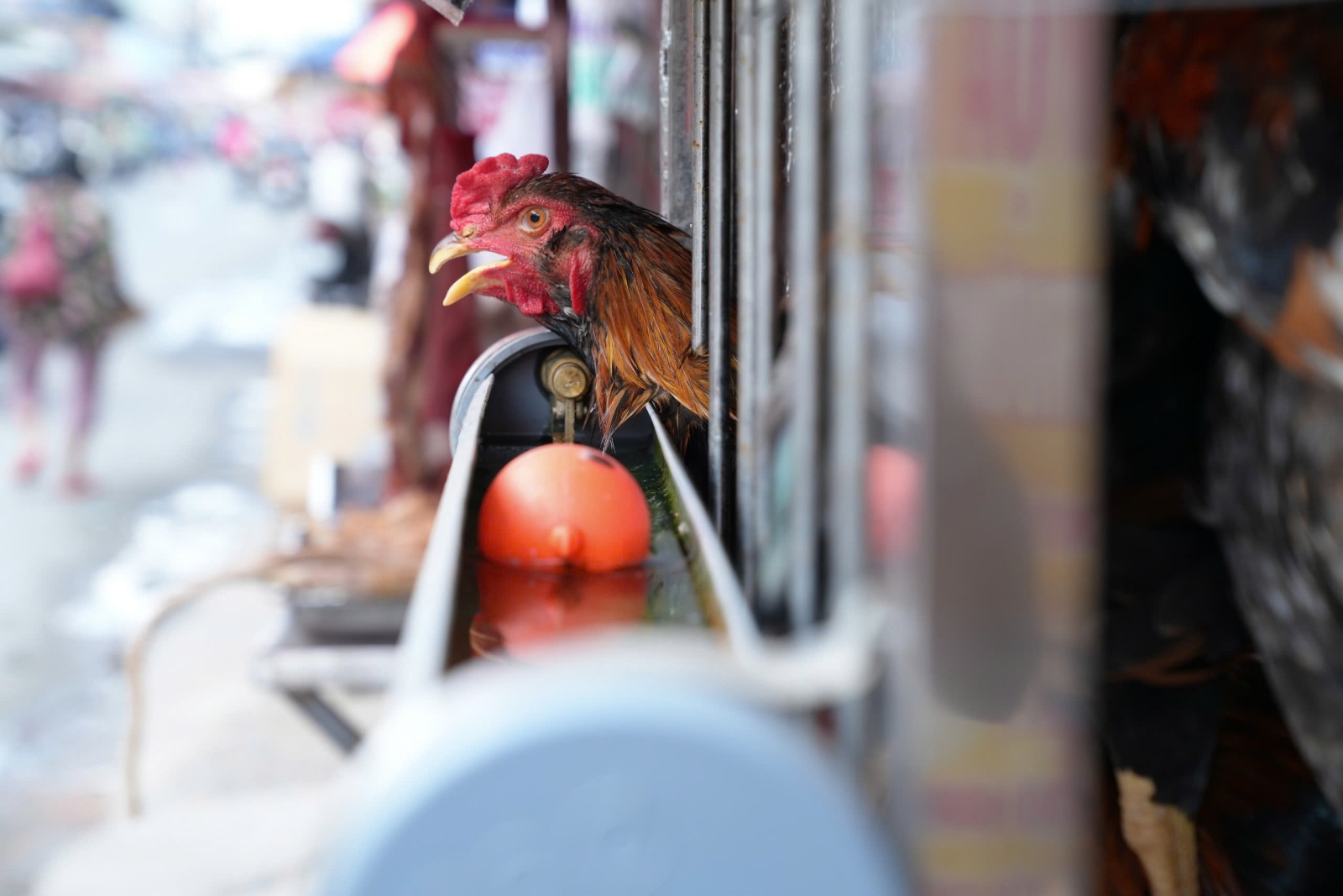  Bảo Chứng Cho Chất Lượng Và Sự An Toàn