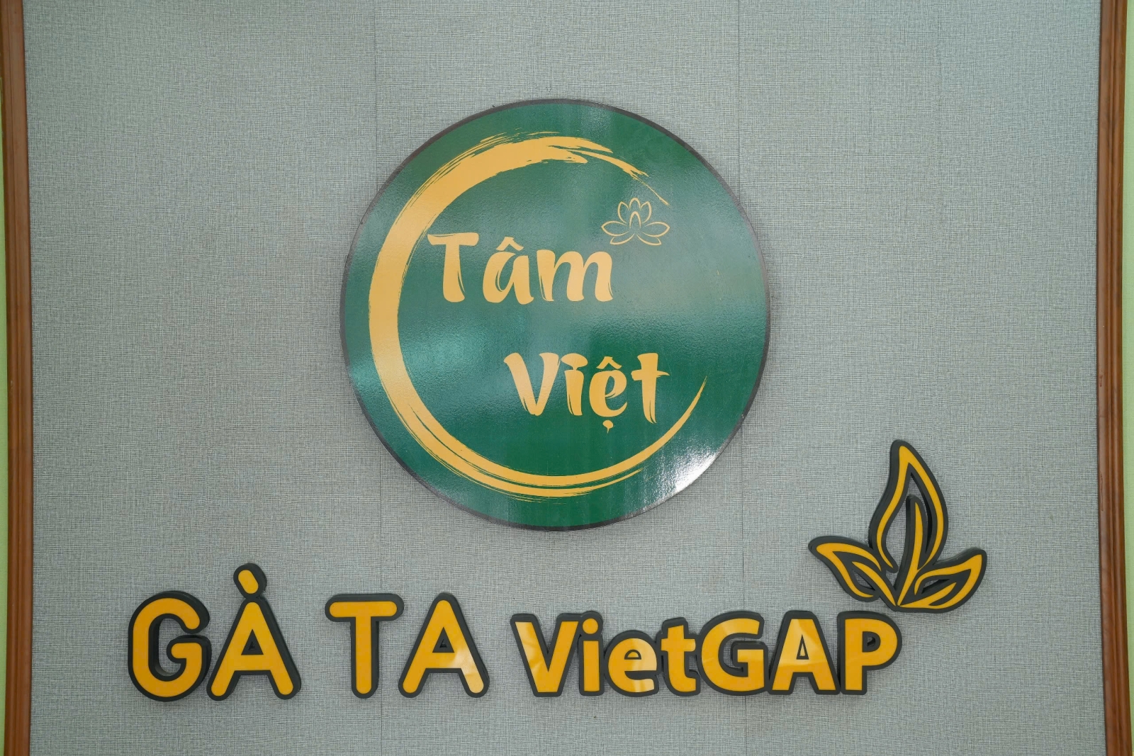 Giá Đã Rẻ, Nay Còn Giảm Thêm 10% Khi Thanh Toán Qua VNPay