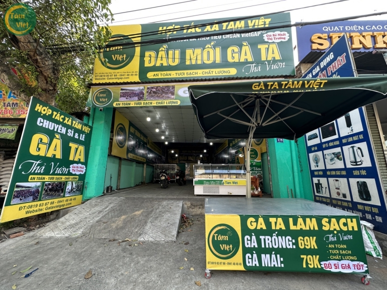 Gà Đã Làm Sạch (Gà Thả Vườn Tâm Việt)