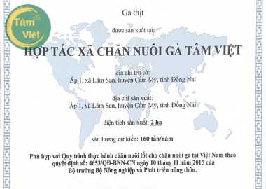 Quy trình nuôi gà thả vườn theo tiêu chuẩn VietGAP 